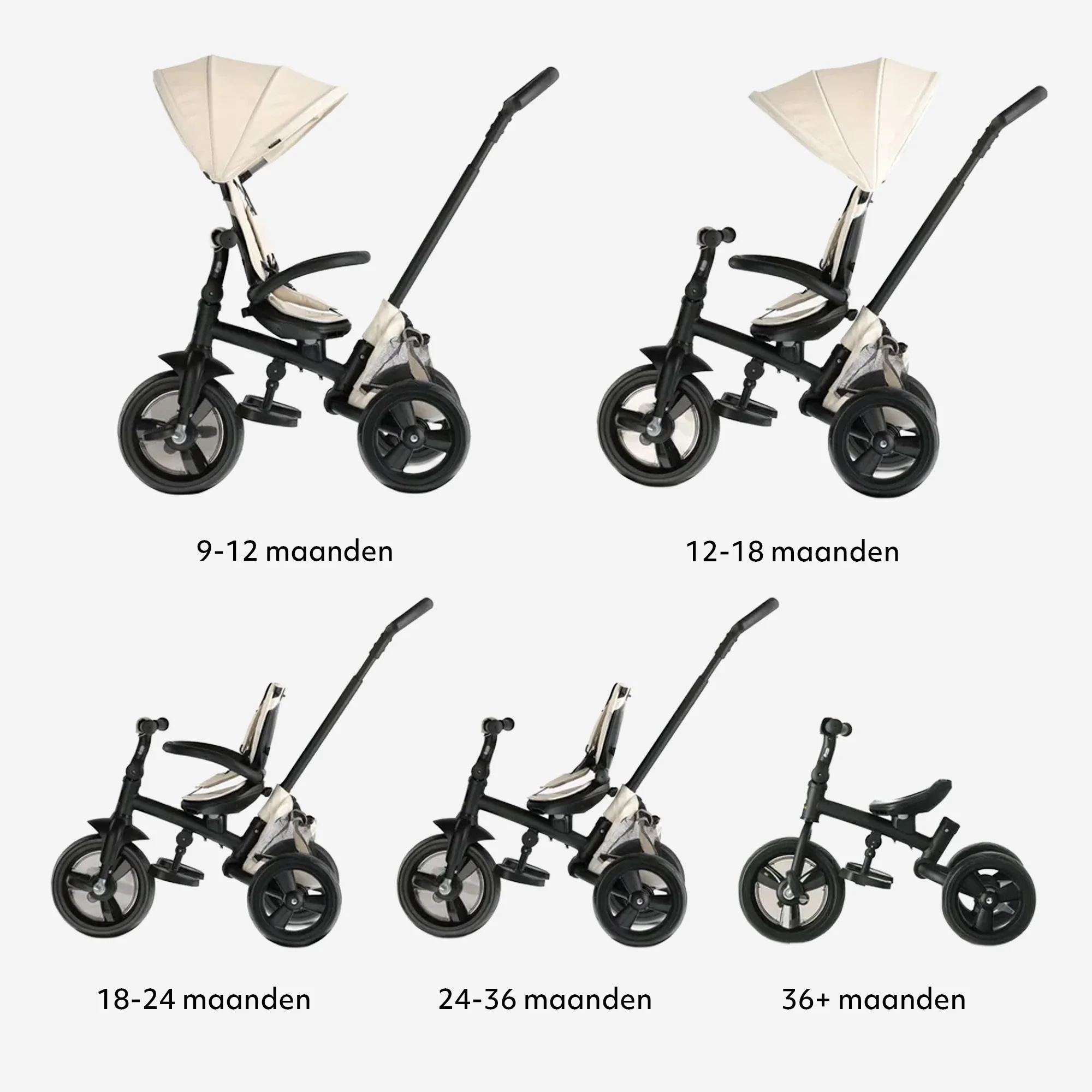 Miniatuur 10