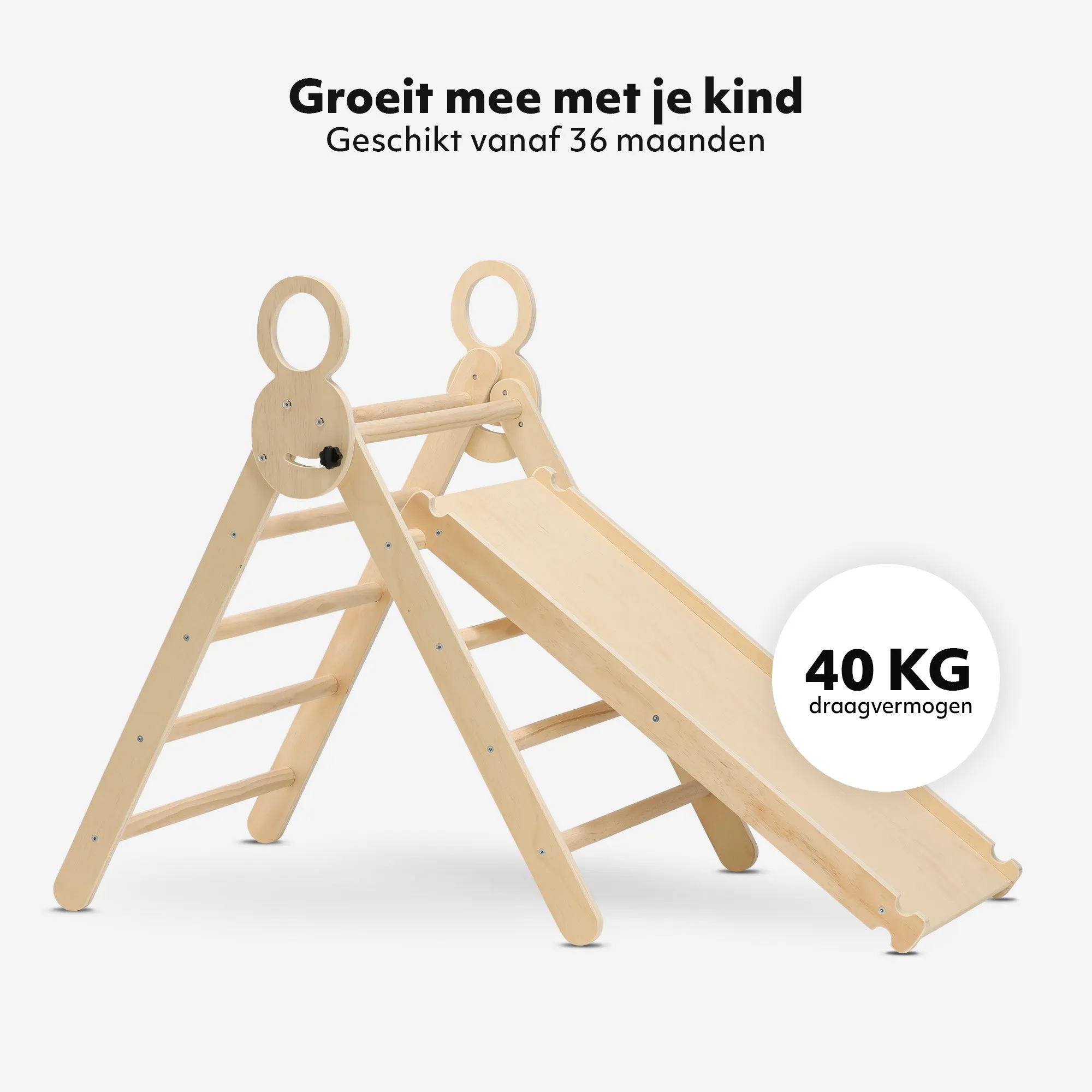 Miniatuur 3