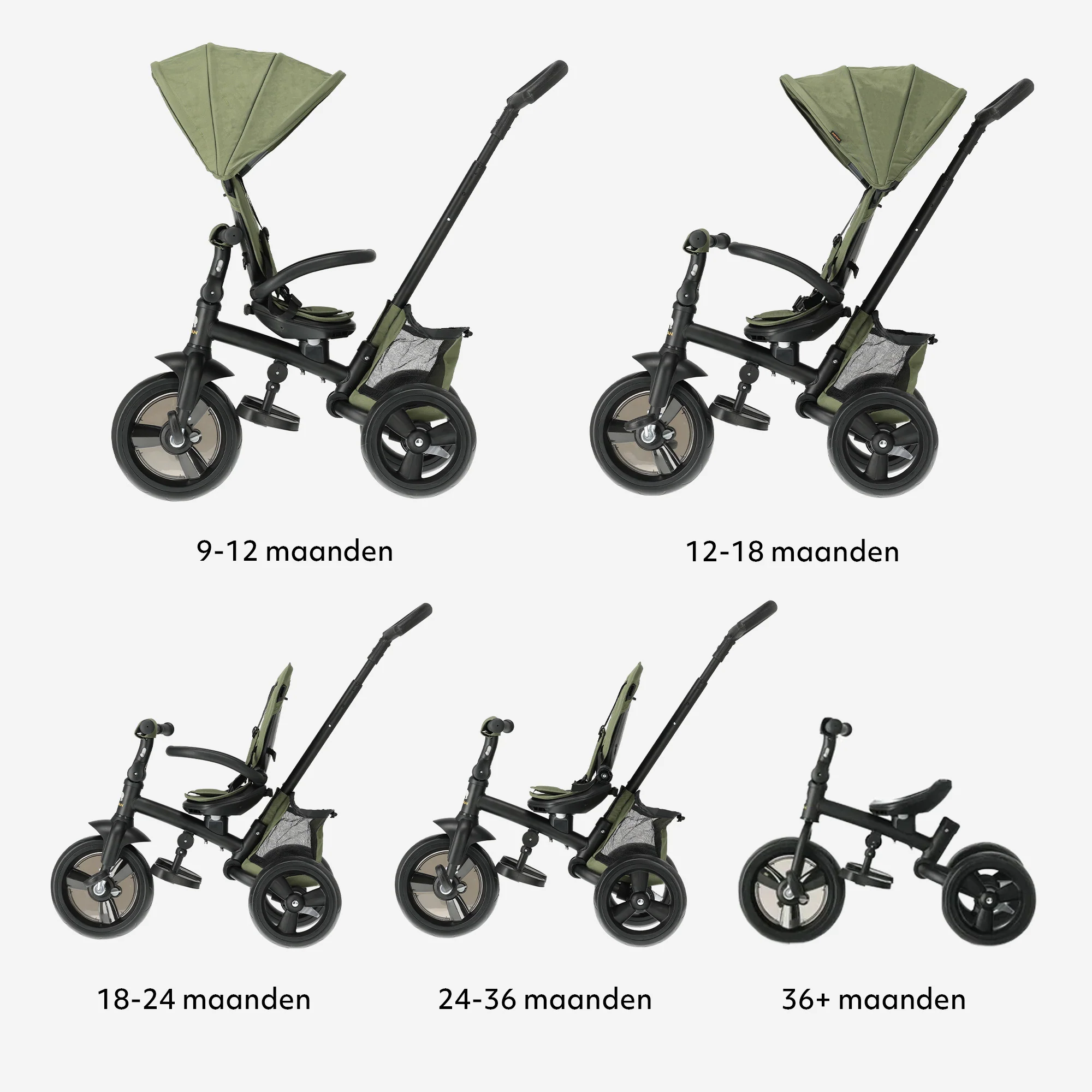 Miniatuur 10